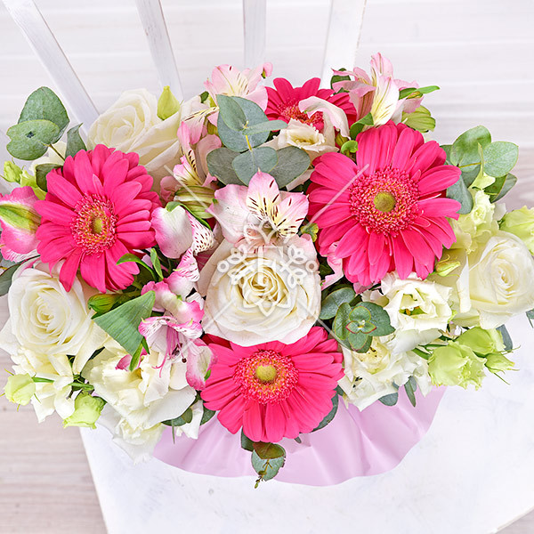 Моя принцесса